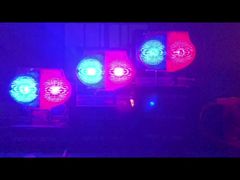 solar road light 2color 